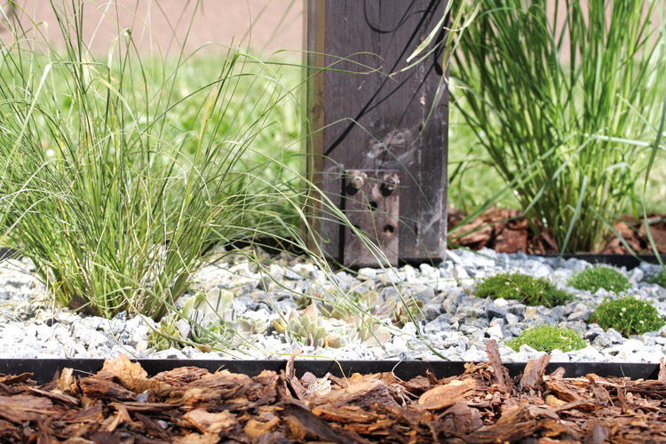 Transform Your Garden with Gardenix: The Ultimate Gardening Resource.