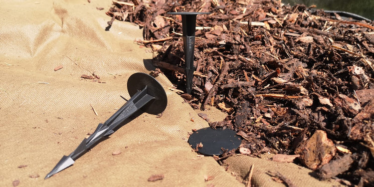 TerraPEG Pro