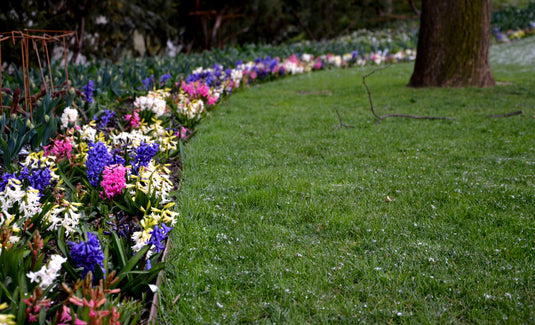 Buy Wood Look Lawn Edging
