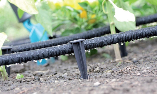 GARDENIX AquaPEG Kotwa do węża ogrodowego Kotwa do mocowania kolca do węży kroplowych Perl Wąż z wtyczką widelec