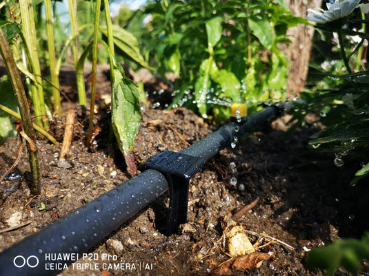 Securing pegs for drip irrigation line