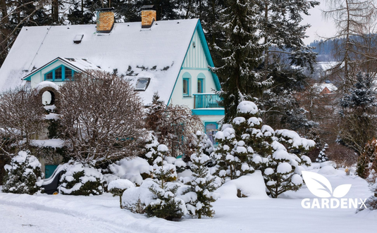 Winter fleece for plants