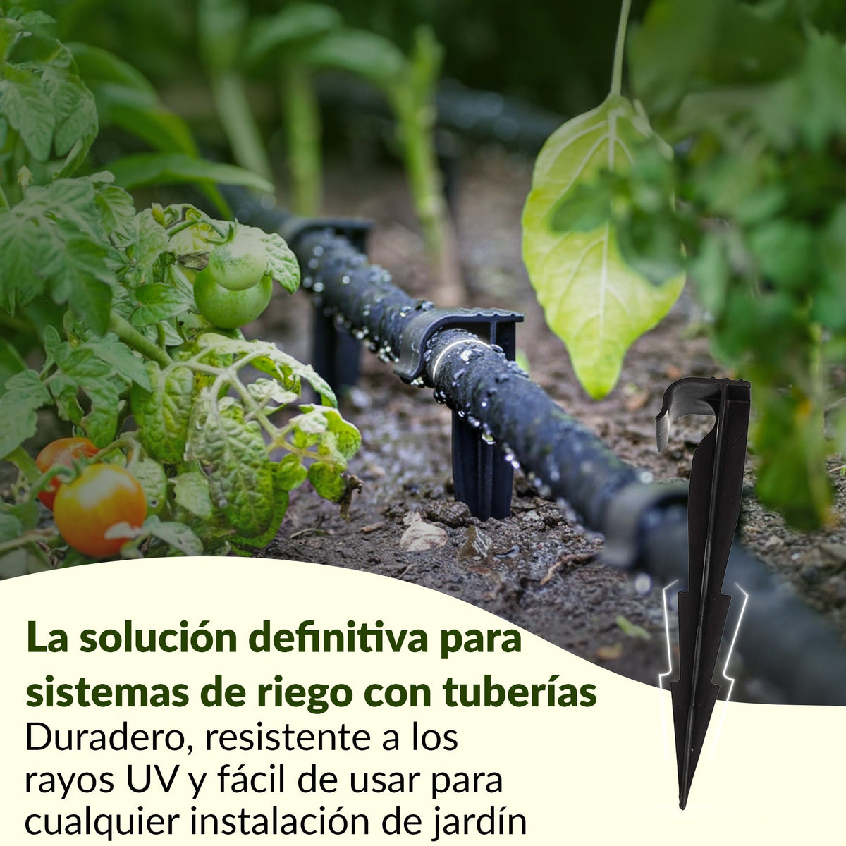 Clavijas de fijación al suelo AquaPEG