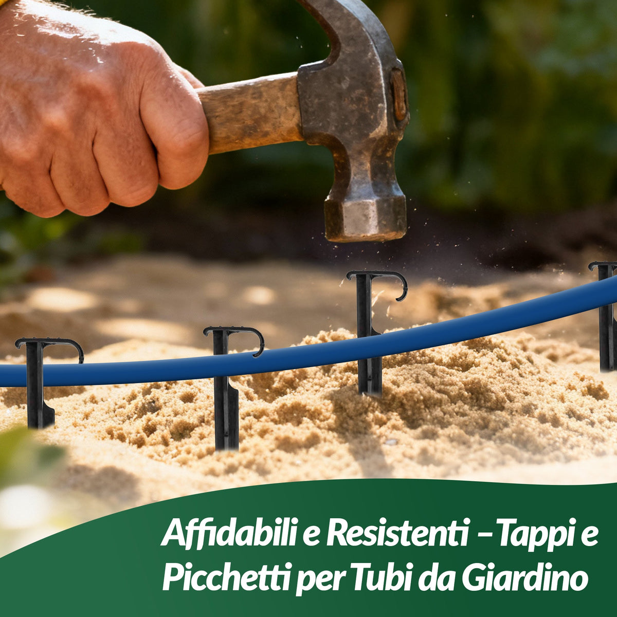 Picchetti AquaPIN