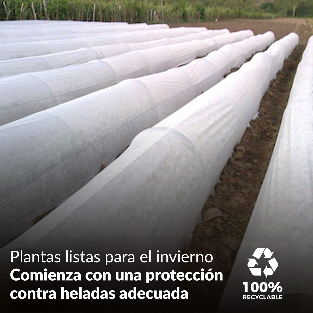Clavijas de seguridad TerraPIN para tela paisajística