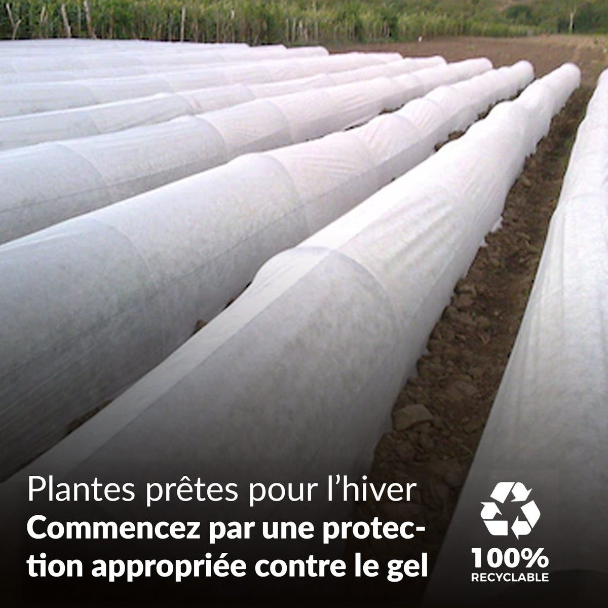 Chevilles de fixation TerraPIN pour tissu paysager
