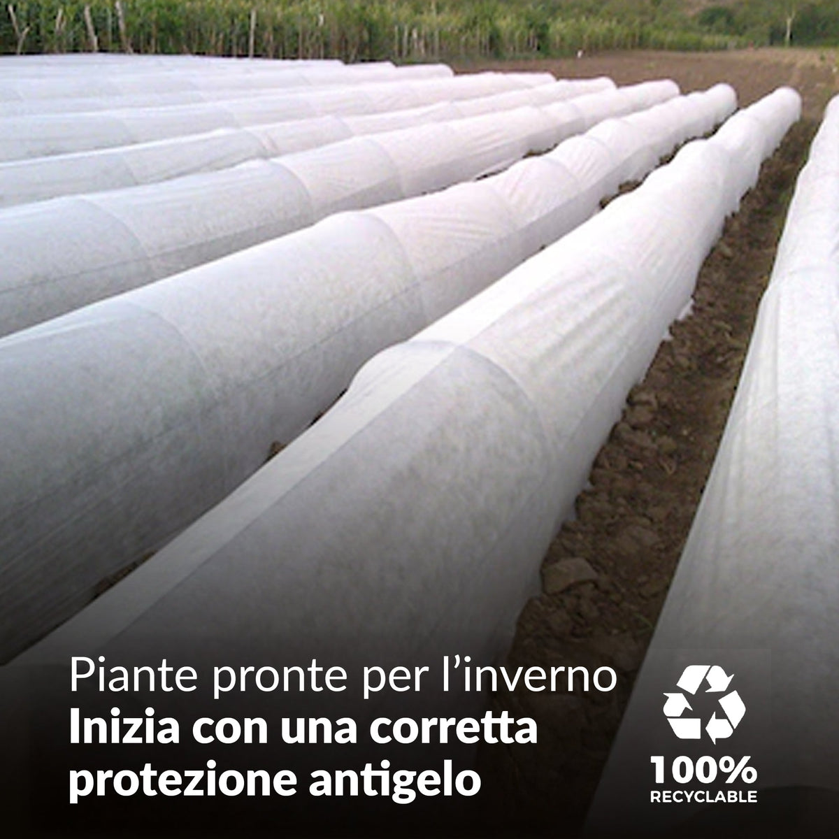 Picchetti di fissaggio TerraPIN per tessuti orizzontali