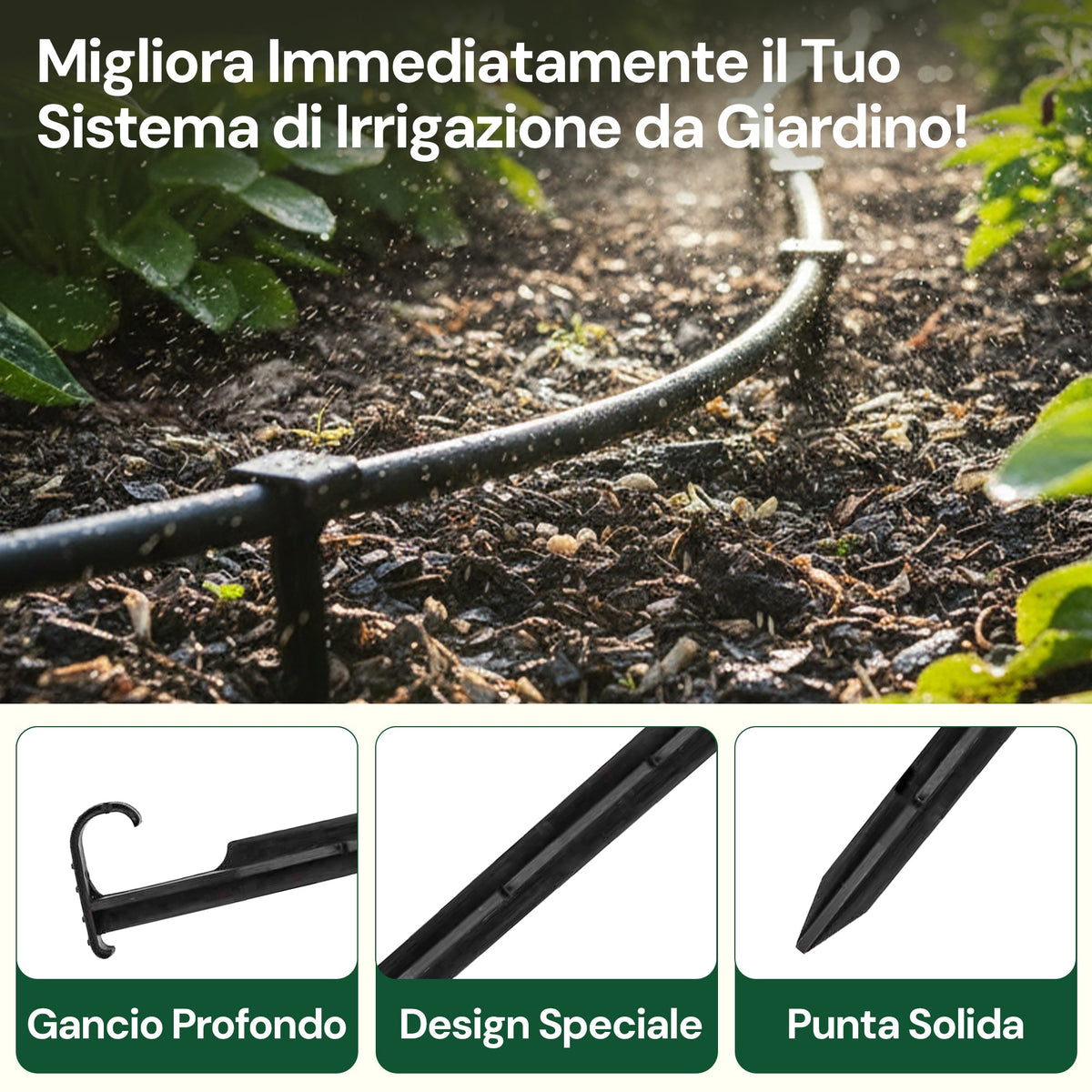 Picchetti AquaPIN