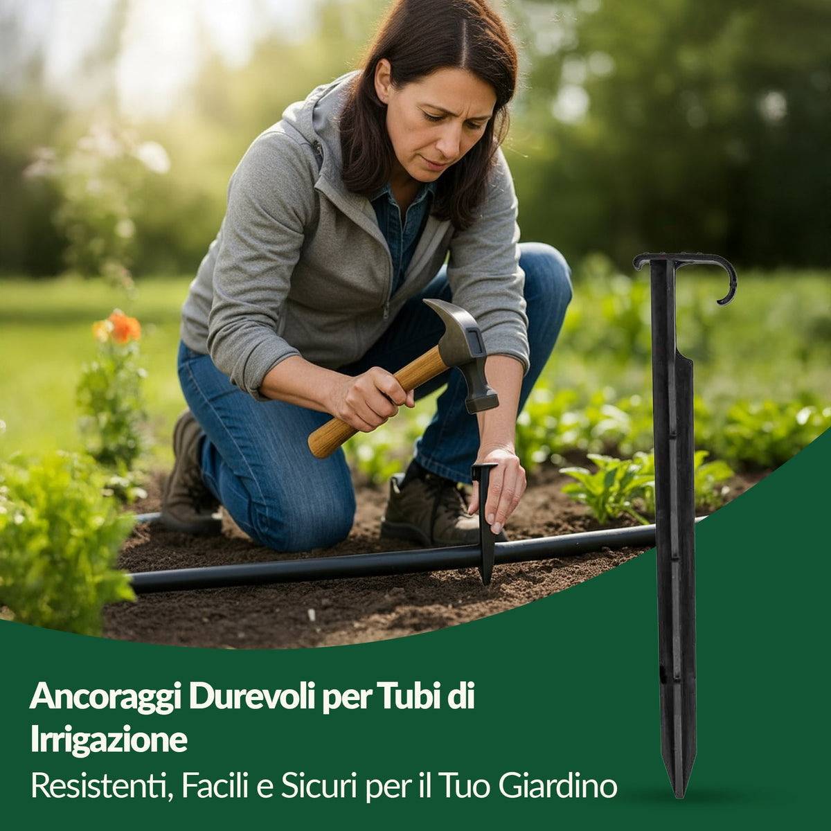Picchetti AquaPIN
