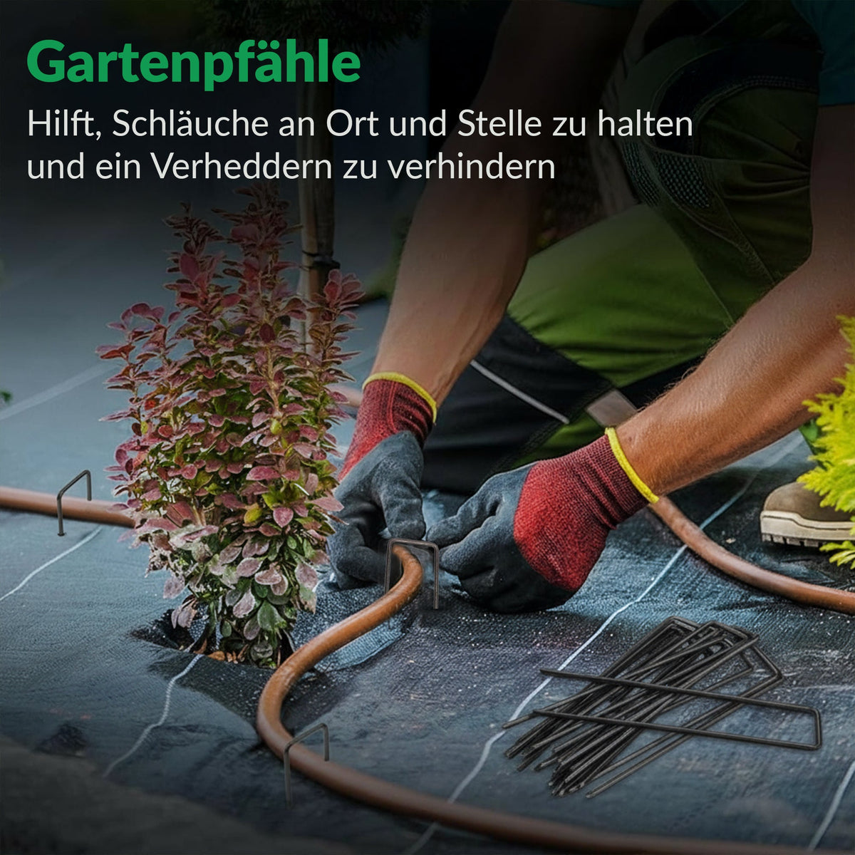 100x Erdspieße – 200 mm verzinkte Stahlheringe für Gartenvliesnetze