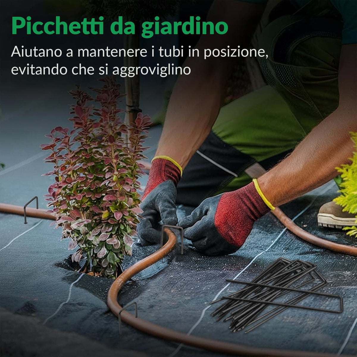 100 picchetti da terra - Picchetti in acciaio zincato da 200 mm per reti da giardino &