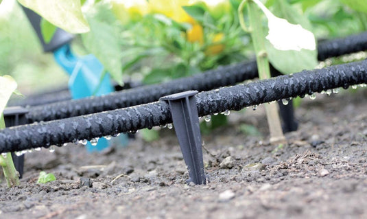 GARDENIX AquaPEG Ground Securing Pegs for Drip Irrigation Line Weeping Pipe Soaker Hose