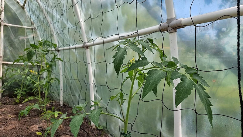 Načtěte obrázek do galerijního prohlížeče, GARDENIX Net für Garten und Gewächshaus mit Maschenweite (10cm), für den Wachstum von Tomaten, Gurken und Kletterpflanzen und 100 STK. Pflanzenclips
