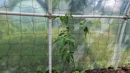 GARDENIX Net für Garten und Gewächshaus mit Maschenweite (10cm), für den Wachstum von Tomaten, Gurken und Kletterpflanzen und 100 STK. Pflanzenclips