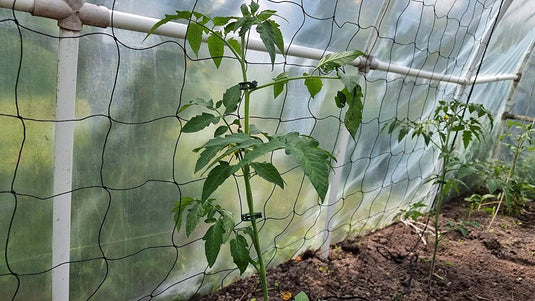 GARDENIX Netz für Garten und Gewächshaus mit Maschenweite (10cm), für das Wachstum von Tomaten, Gurken und Kletterpflanzen und 100 STK. Pflanzenclips