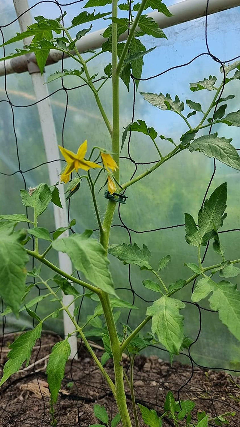 Carregar imagem no visualizador da Galeria, GARDENIX 100 Pcs Plant Clips Plant Clips for Vegetable Tomato Plant Support Cucumber, Pea, Eggplant, Beans and Flowers Like Orchids
