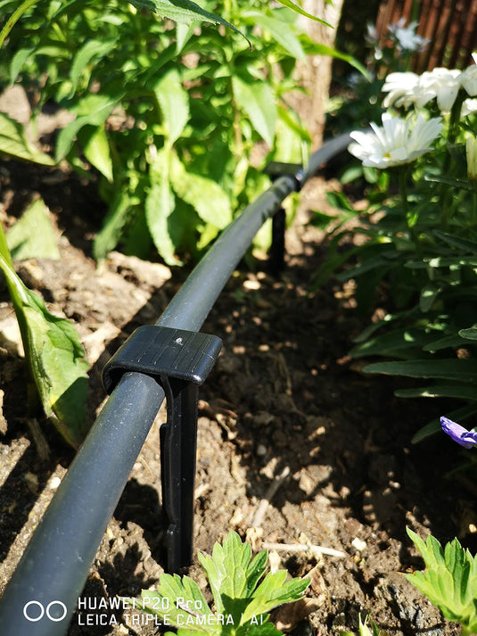 Buy Securing Pegs for Drip Irrigation